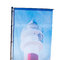 Flag Pole 540 incl. print